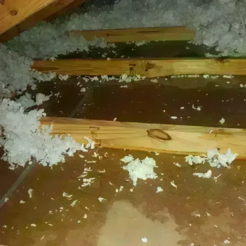 Attic Water Damage in Brea, CA