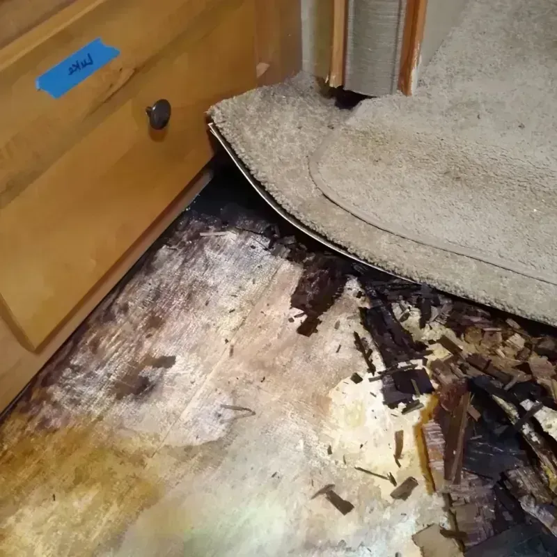 Wood Floor Water Damage in Brea, CA